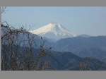 高尾山２.jpg